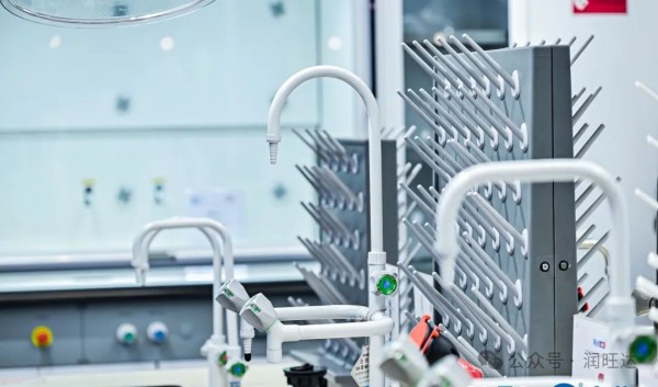 1735698200185980.jpg 640 (3).jpg